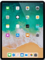 iPad Pro 11 (1st, 2nd, 3rd Generation)A1934, A2013, A1979